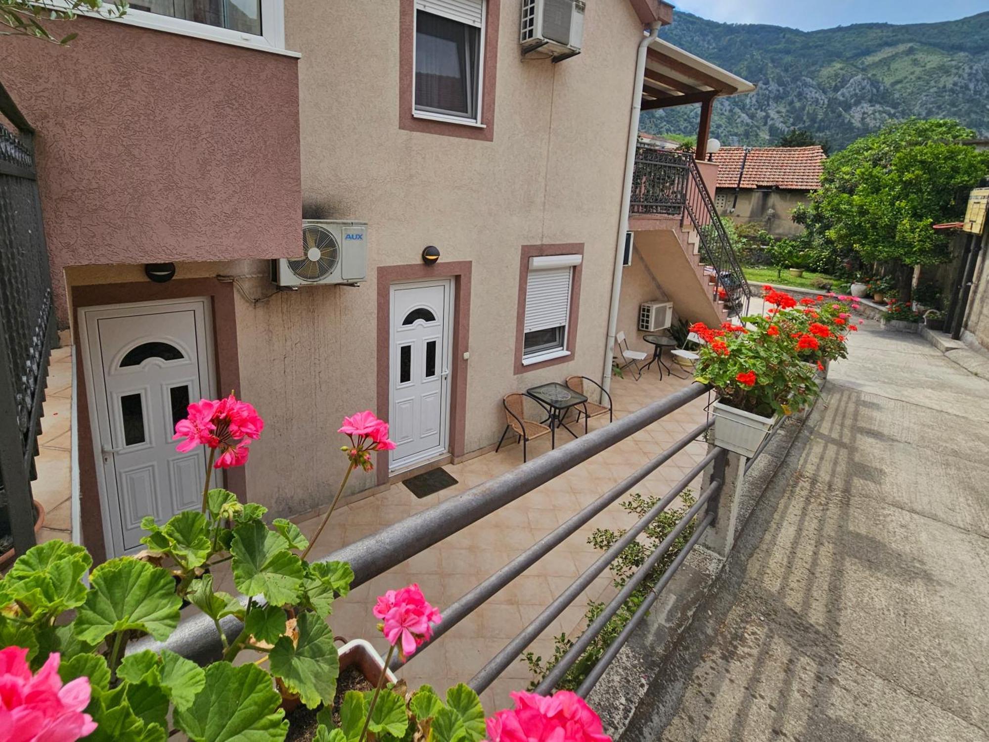 Apartment Aleksandar Kotor Exterior photo